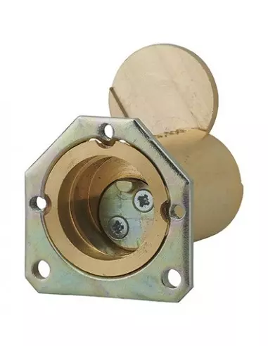 CYL ENEDIS 25X45 C 2 CL SER C /ALP CYL ENEDIS 25X45 C 2 CL SER C /ALP