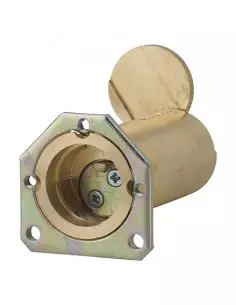 CYL ENEDIS 25X60 C 2 CL SER C /AUV 2