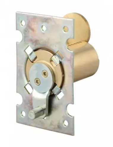 CYL ENEDIS 25X45 C 2 CL SAP T /BRG CYL ENEDIS 25X45 C 2 CL SAP T /BRG