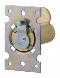 CYL ENEDIS 25X60 C 2 CL SAP T /LOR 2