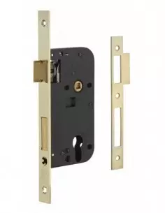 SERRUPRO - Boîtier de serrure encastrable pour porte d'entrée à cylindre - V/BC/L