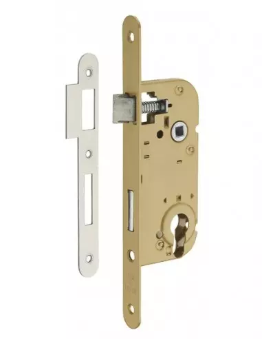 SERRUPRO - Boitier de serrure encastrable pour porte d'entrée - V/BR