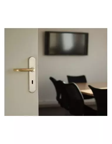 Poignée antibactérienne cuivre sur plaque condamnation - Carré de 6 Poignée antibactérienne cuivre sur plaque condamnation - Carré de 6