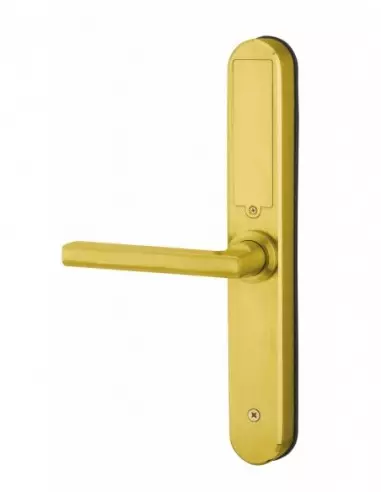 POIGNÉE ÉLECTRONIQUE "Hôtel" finition dorée POIGNÉE ÉLECTRONIQUE "Hôtel" finition dorée