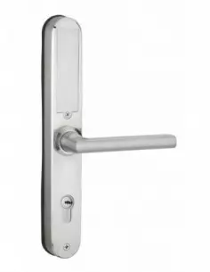 POIGNEE ELECTRONIQUE - finition silver 2