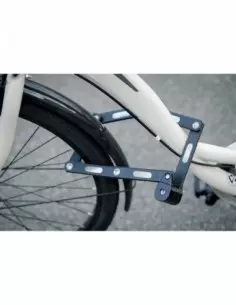 Antivol zebra à clé 2