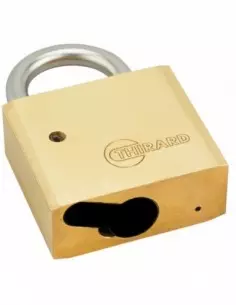 Cadenas à clé CP anse inox sans cylindre 2