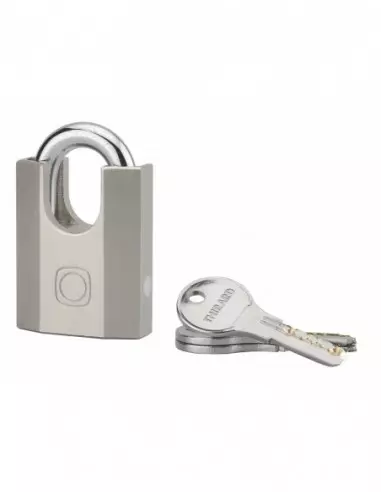 Cadenas à clé OCTO-P 50mm anse protégée acier 3 clés Cadenas à clé OCTO-P 50mm anse protégée acier 3 clés