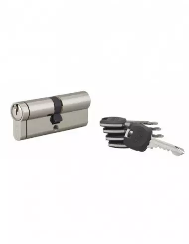 Cylindre hg6+ 41x41mm 5 clés panneton orientable