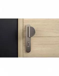 Chantilly anodisé inox trou de cylindre,i pour porte palère 2