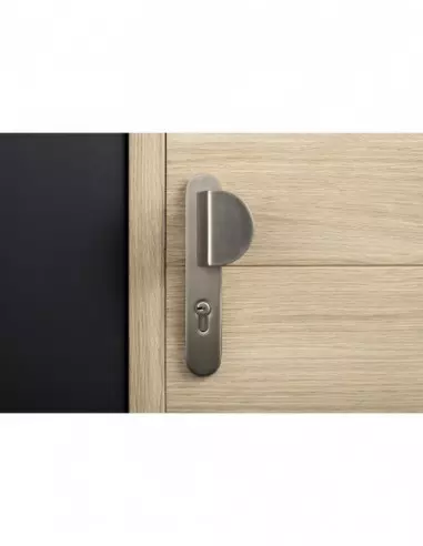 Chantilly anodisé inox trou de cylindre,i pour porte palère Chantilly anodisé inox trou de cylindre,i pour porte palère