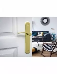 Dionysos sans trou bdc 2