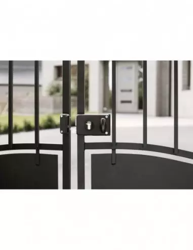 Boîtier à cylindre profilé 140 x 88 mm gauche Boîtier à cylindre profilé 140 x 88 mm gauche