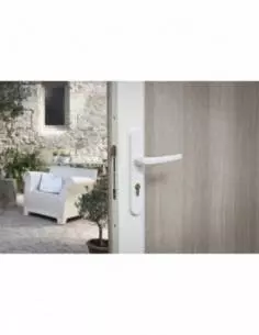 Boîtier réversible avec gâche standard pour porte haut 2250 mm maxi, blanc 2