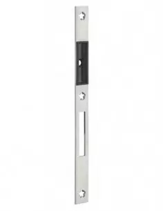 Gâche plate inox double empénage 244x20x2,5 mm 2