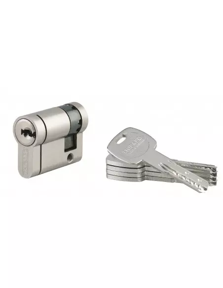 1/2 cylindre 30 x10 mm nickelé panneton orientable 5 clés