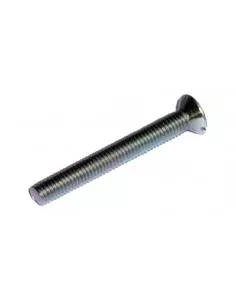 Demi-cylindre 30 x 10 mm 3 clés avec vis de 40 mm laitonné 2