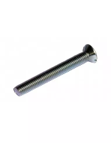 Demi-cylindre 30 x 10 mm 3 clés avec vis de 40 mm laitonné Demi-cylindre 30 x 10 mm 3 clés avec vis de 40 mm laitonné