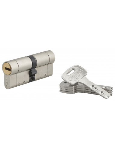 Cylindre de serrure double entrée Federal S, 35x35mm, nickel, anti-arrachement, anti-perçage, 5 clés - THIRARD Cylindre de serrure double entrée Federal S, 35x35mm, nickel, anti-arrachement, anti-perçage, 5 clés - THIRARD